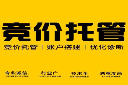 精准投放，高效转化——网站sem托管的胜利案例